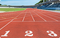 Obiekty sportowe i budowa terenów